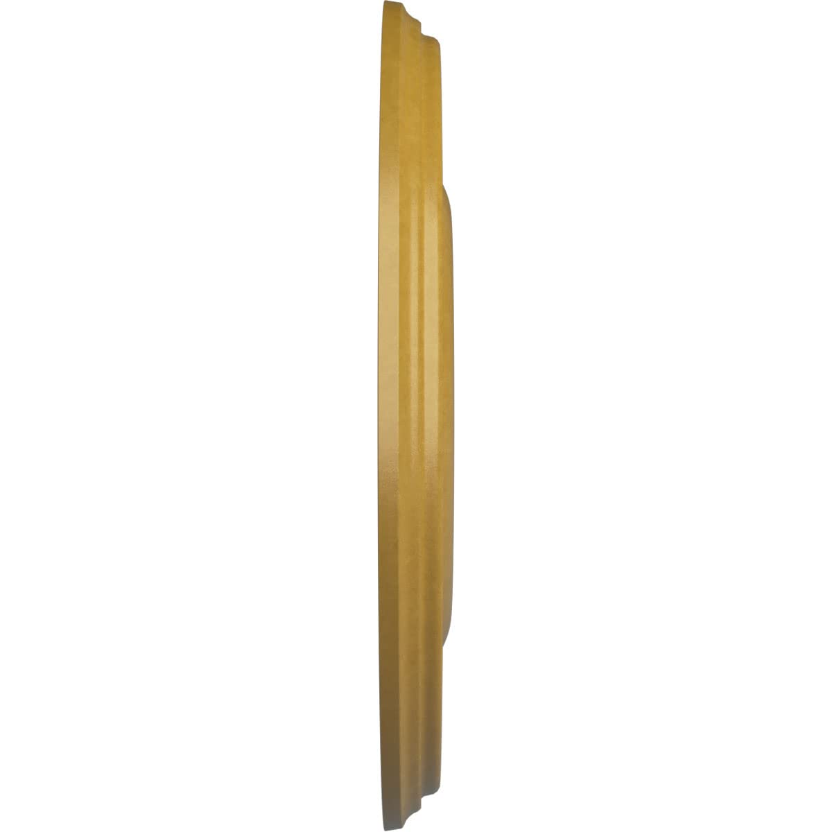 Ekena Millwork Cm18Brigs Bradford Ceiling Medallion, 18 1/8''Od X 3 3/4''Id X 1 1/8''P, Hand Painted Iridescent Gold